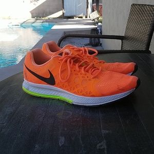 Mens Nike Pegasus 31